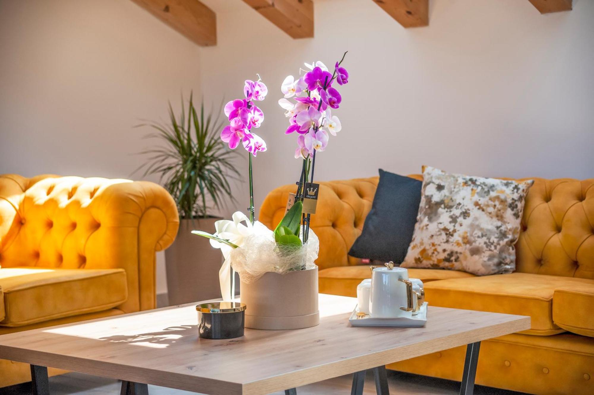 Boutique Residence Arion Ровинь Номер фото